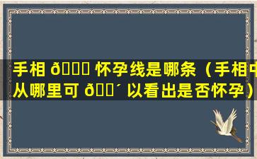 手相 🐘 怀孕线是哪条（手相中从哪里可 🌴 以看出是否怀孕）